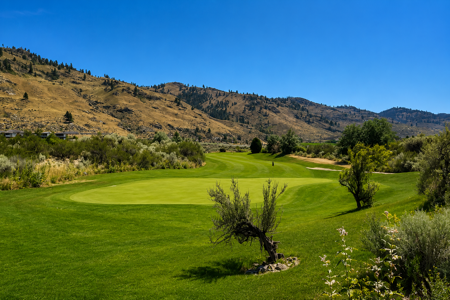 Osoyoos Golf Club Private Golf Transportation Full Day Charter