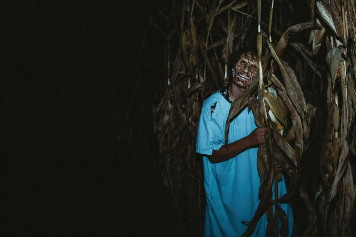Field of Screams Experience
