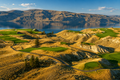 Tobiano Private Golf Transportation Full Day Charter